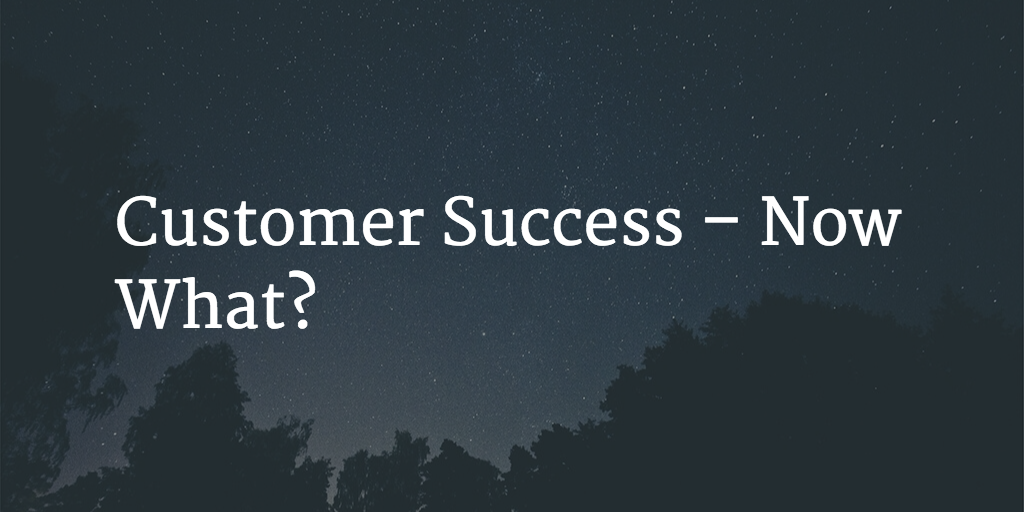 Customer Success – Now What? Image