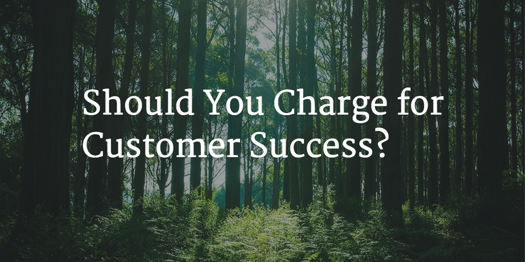Should You Charge for Customer Success? Image
