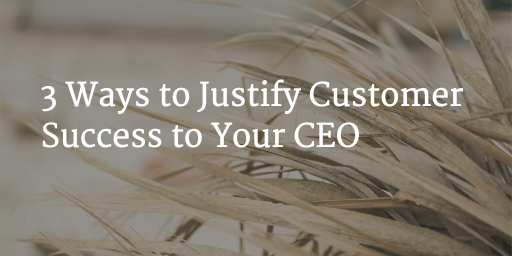 3 Ways to Justify Customer Success to Your CEO Image