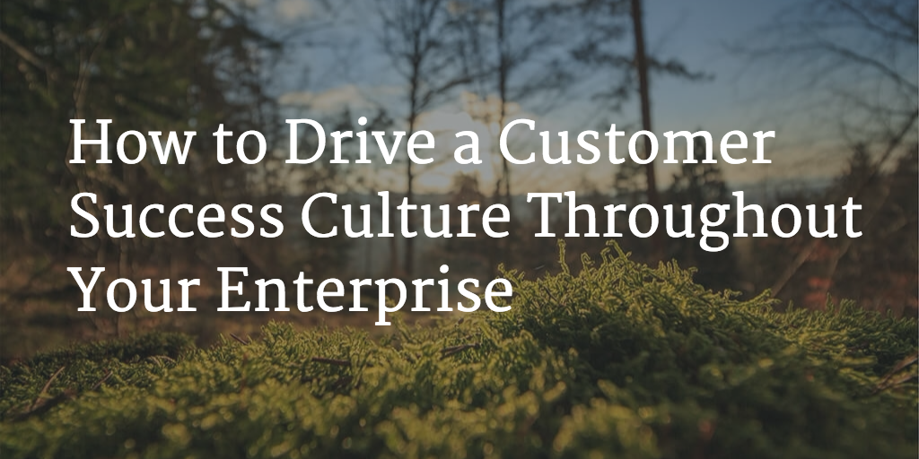 How to Drive a Customer Success Culture Throughout Your Enterprise Image