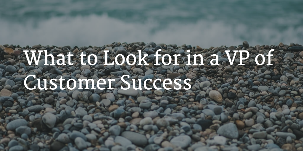 What to Look for in a VP of Customer Success Image