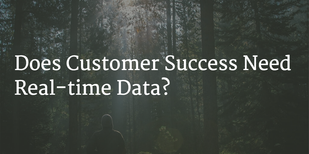 Does Customer Success Need Real-time Data? Image