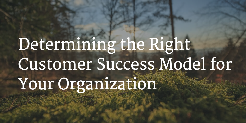 Determining the Right Customer Success Model for Your Organization Image
