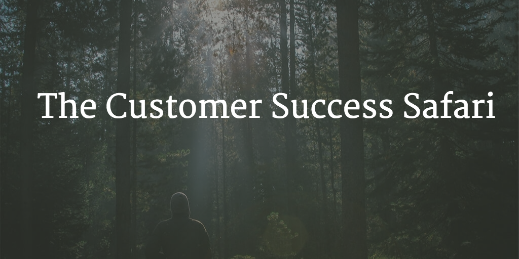 The Customer Success Safari Image