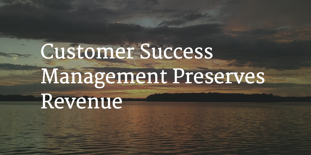 Customer Success Management Preserves Revenue Image