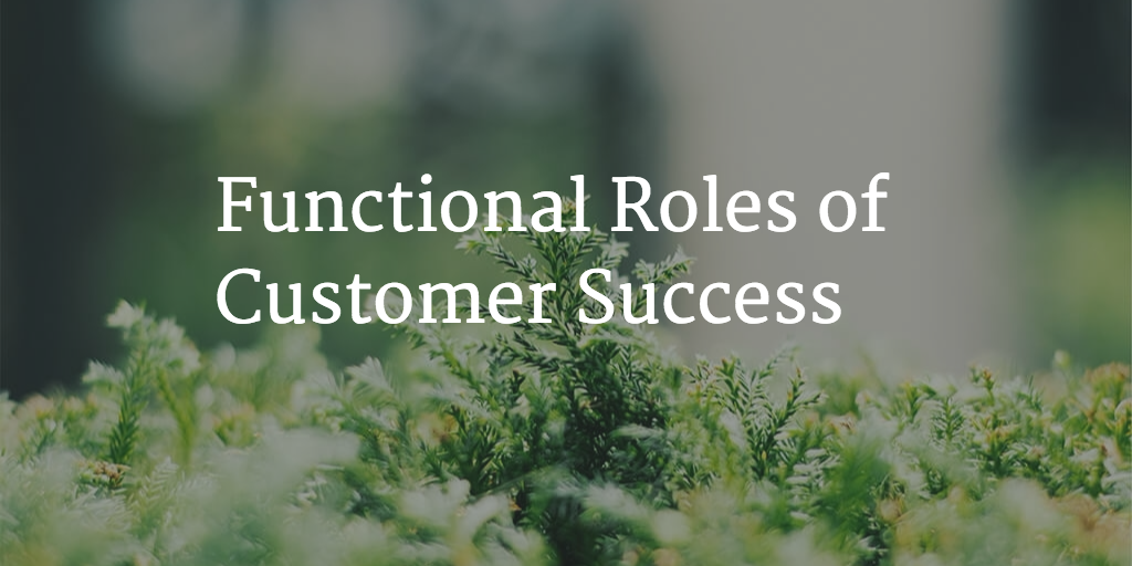 Private: Functional Roles of Customer Success Image