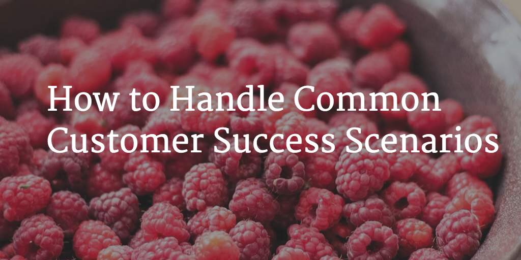 How to Handle Common Customer Success Scenarios Image