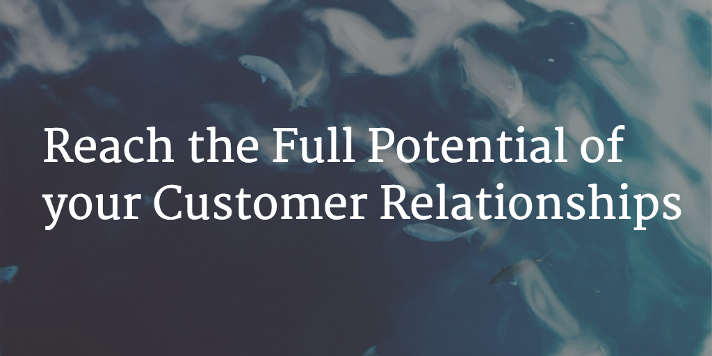 Reach the Full Potential of your Customer Relationships Image