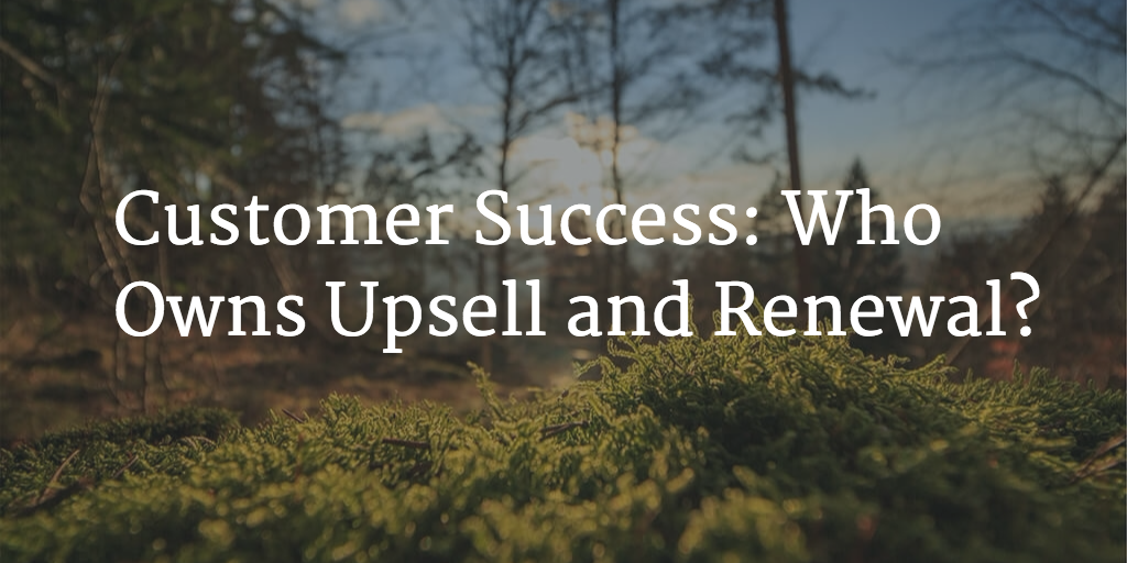 Customer Success: Who Owns Upsell and Renewal? Image
