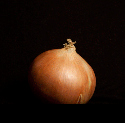 Peel An Onion 50018
