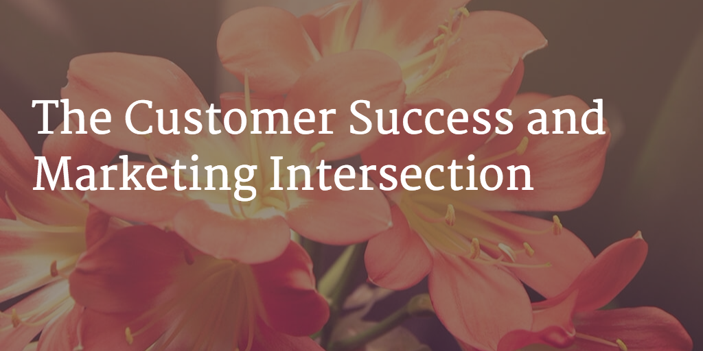 The Customer Success and Marketing Intersection Image