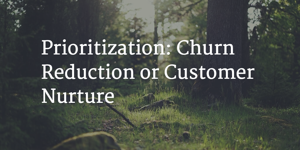 Prioritization: Churn Reduction or Customer Nurture Image