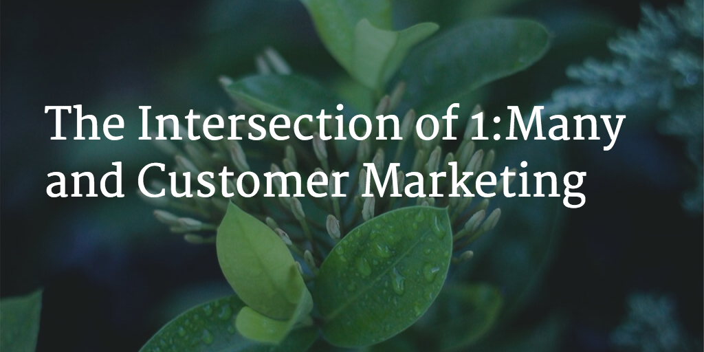 The Intersection of 1:Many and Customer Marketing Image