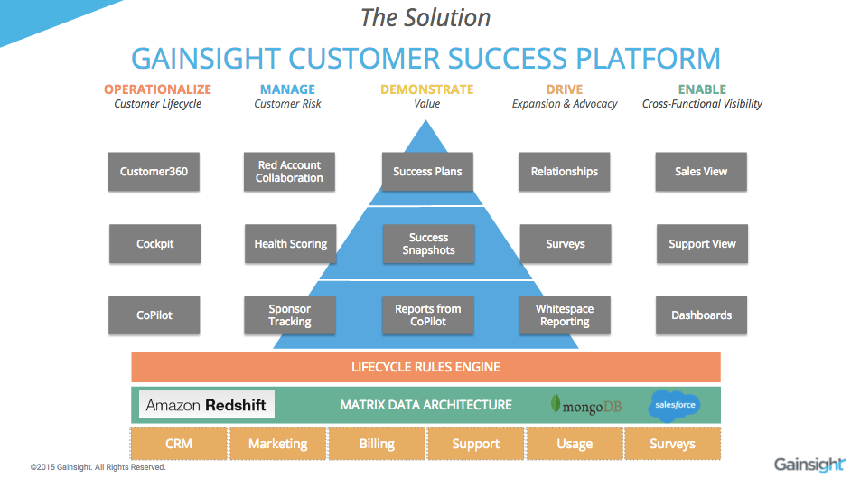 Customer Success Org Chart