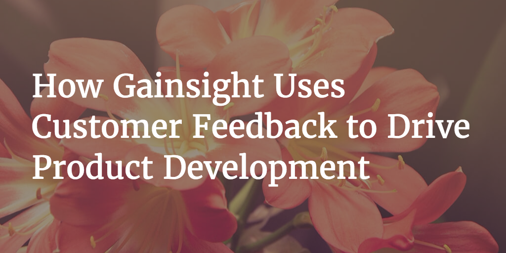 How Gainsight Uses Customer Feedback to Drive Product Development Image