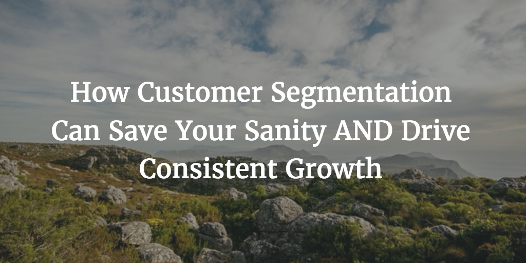 How Customer Segmentation Can Save Your Sanity AND Drive Consistent Growth Image