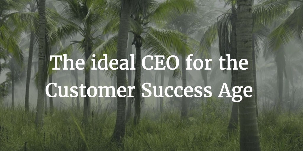 The ideal CEO for the Customer Success Age Image