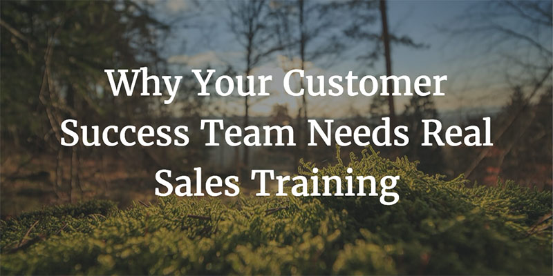 Why Your Customer Success Team Needs Real Sales Training Image