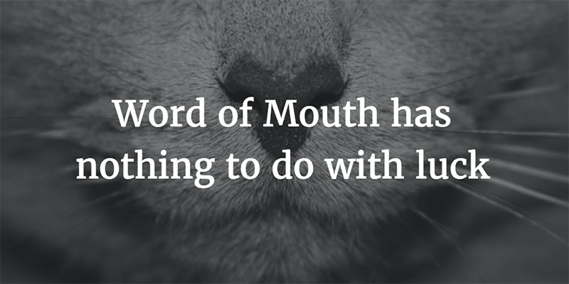 Word of Mouth has nothing to do with luck Image