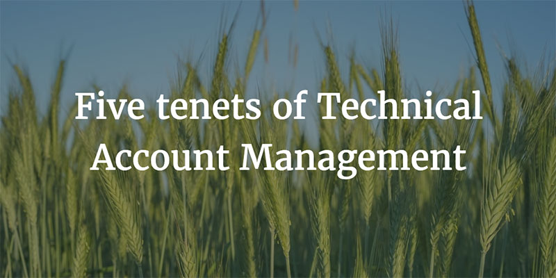 Five Tenets of Technical Account Management Image