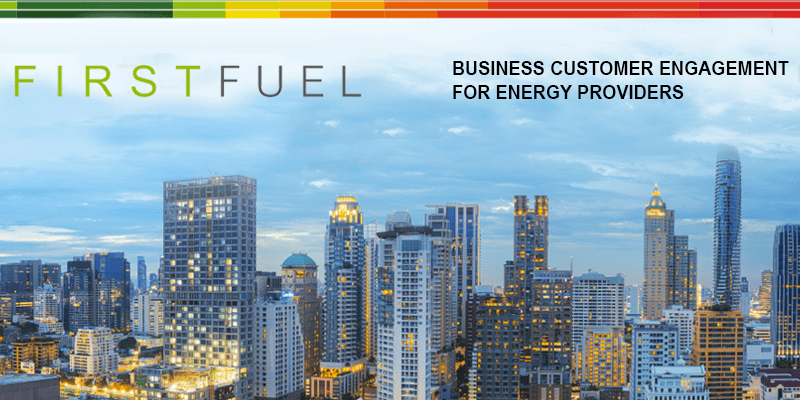 Welcome to my Customer Success Org: Domenic Armano of FirstFuel Software Image