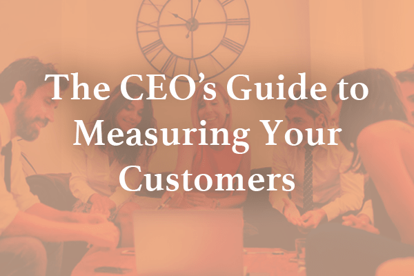 The CEO’s Guide to Measuring Your Customers