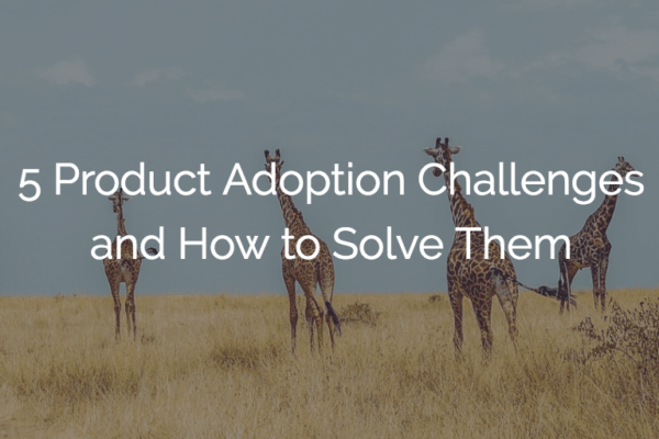 5 Product Adoption Challenges and How to Solve Them