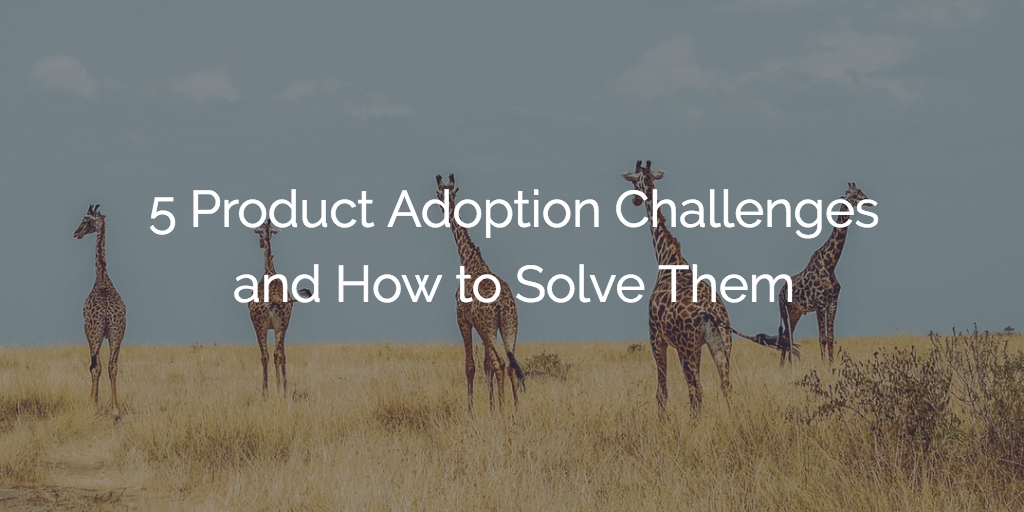 5 Product Adoption Challenges and How to Solve Them Image