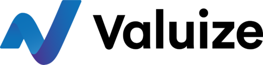 Valuize Logo