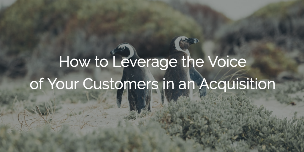 How to Leverage the Voice of Your Customers in an Acquisition Image