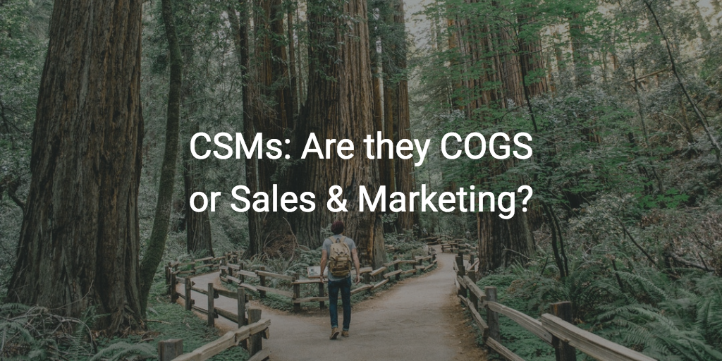 CSMs: Are they COGS or Sales & Marketing? Image