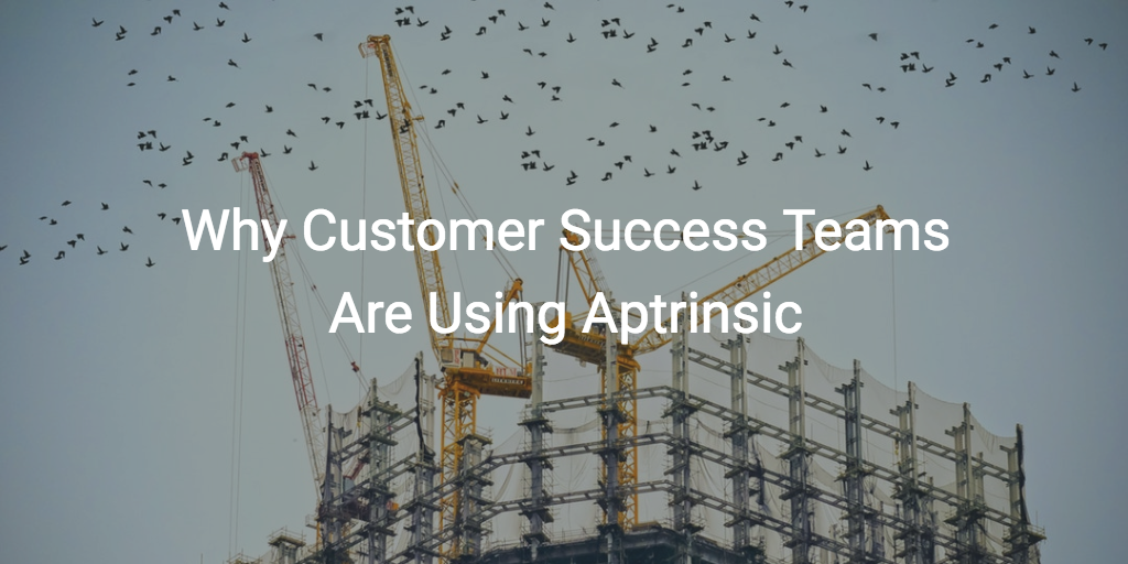 Why Customer Success Teams Are Using Aptrinsic Image
