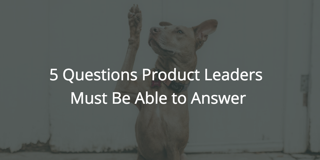 5 Questions Product Leaders Must Be Able to Answer Image