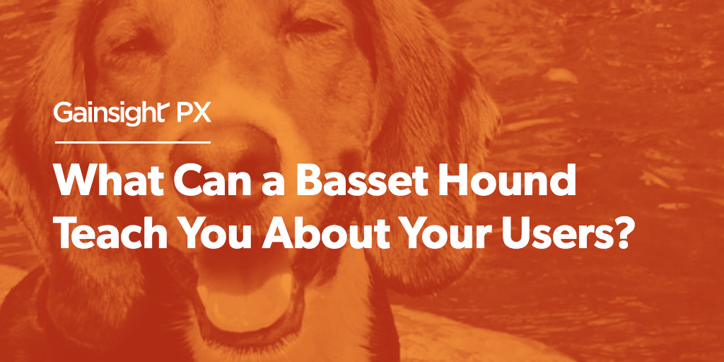 What Can a Basset Hound Teach You About Your Users? Image
