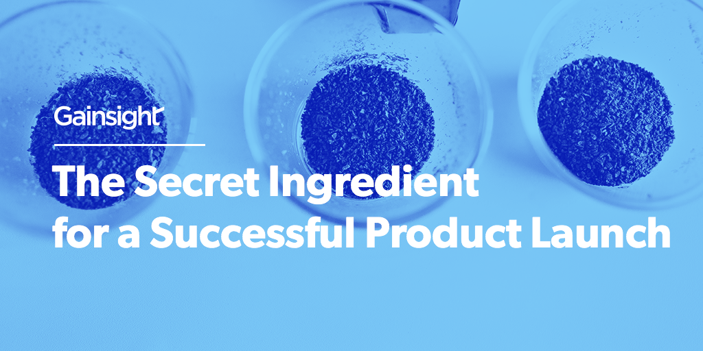 The Secret Ingredient for a Successful Product Launch Image