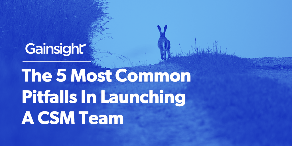 The 5 Most Common Pitfalls In Launching A CSM Team Image