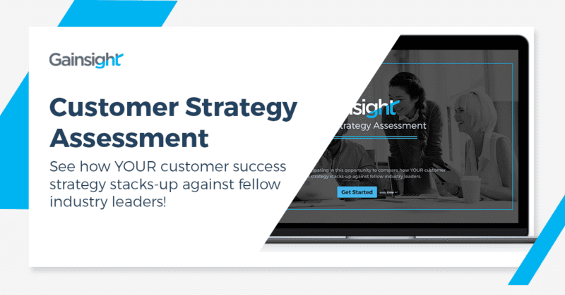 Customer Strategy Assessment thumbnail