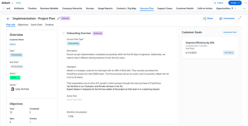 Screenshot of a project management dashboard showing an Implementation - Project Plan. The page features Customer Success Management elements, outlining an overview, objectives, customer goals, and onboarding details with highlights and an action plan.